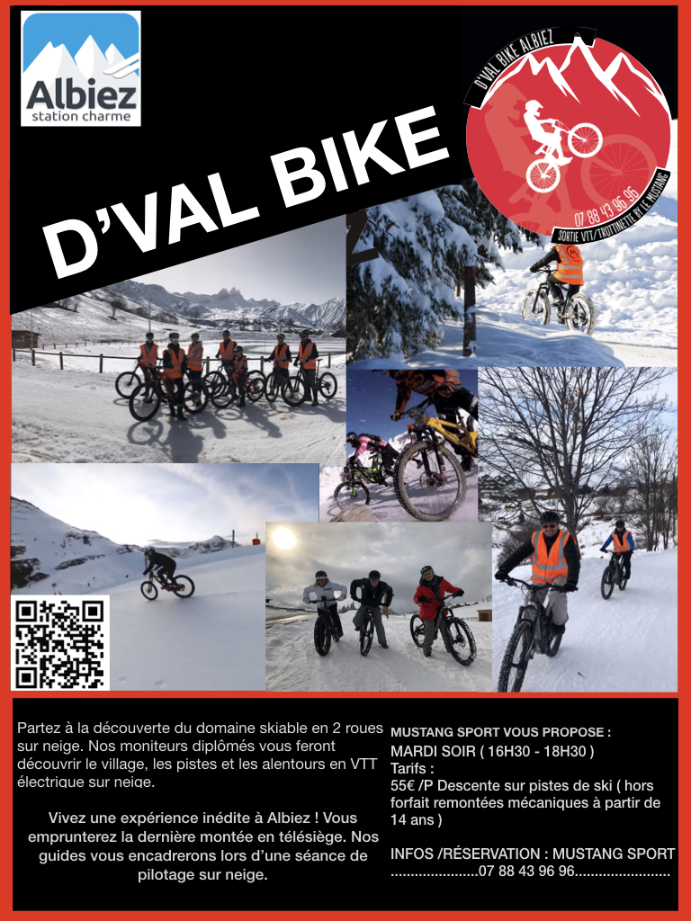 D Bike Hivr 23.001