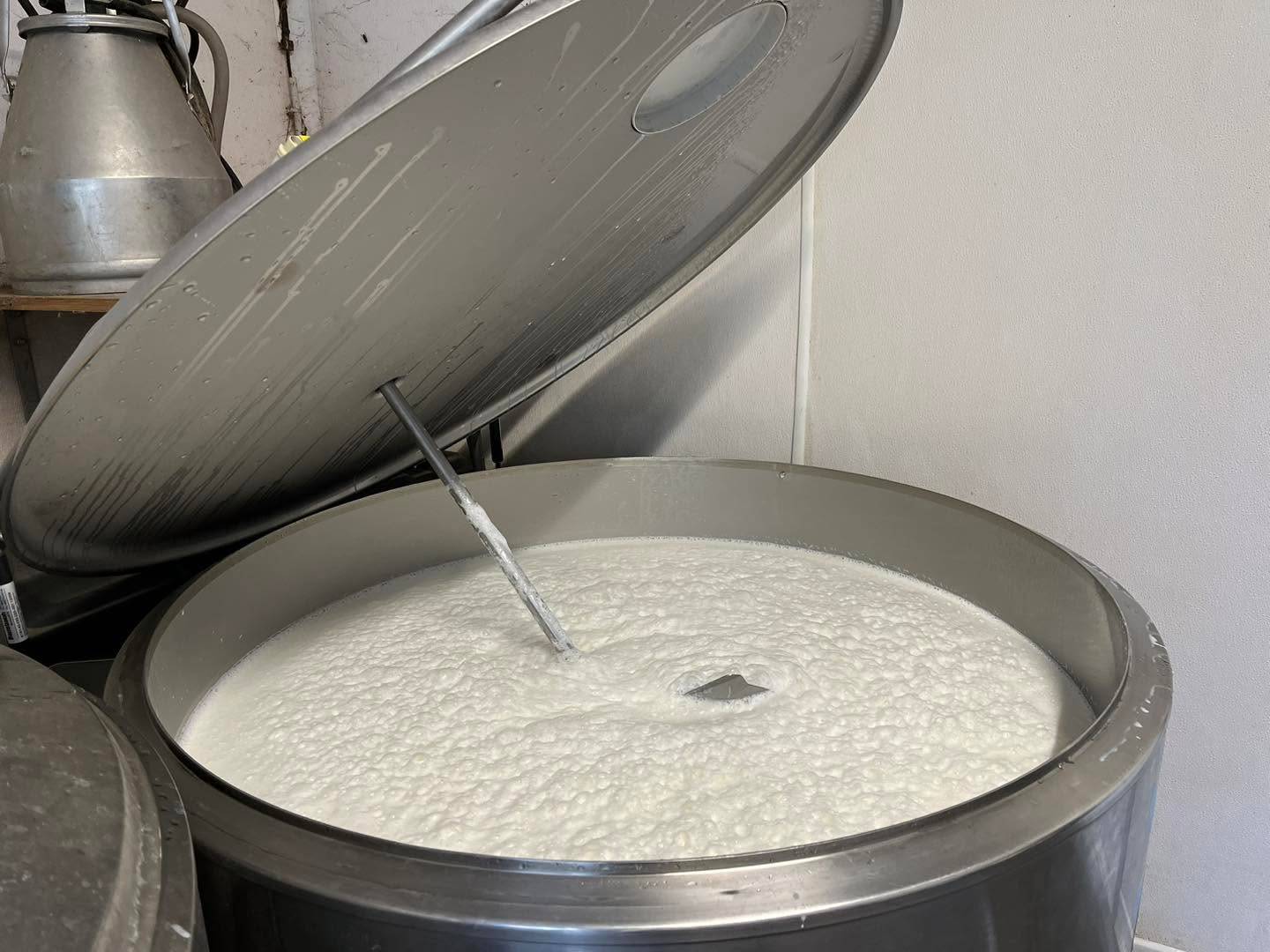 instant fermier mustang