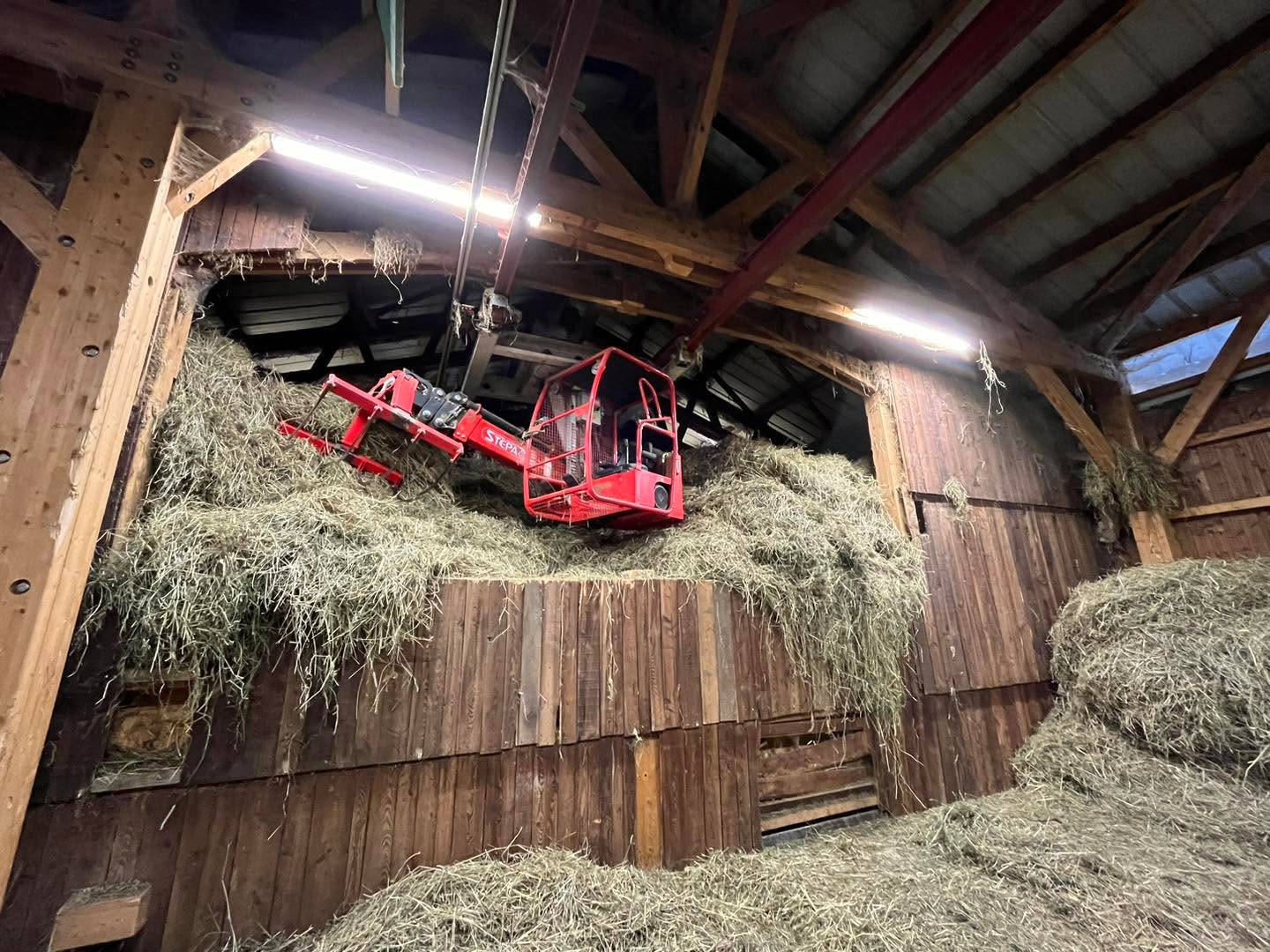 instant-fermier mustang
